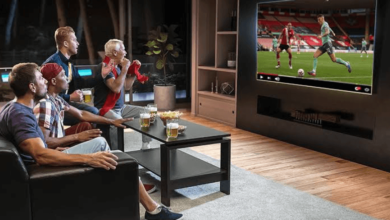 Nordic IPTV: Die Zukunft des Fernsehens aus Skandinavien