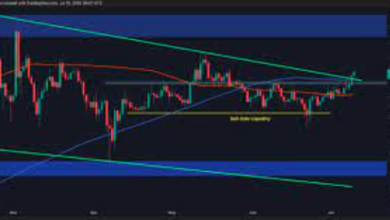 How to Analyze XRP Price USD Using Technical Indicators