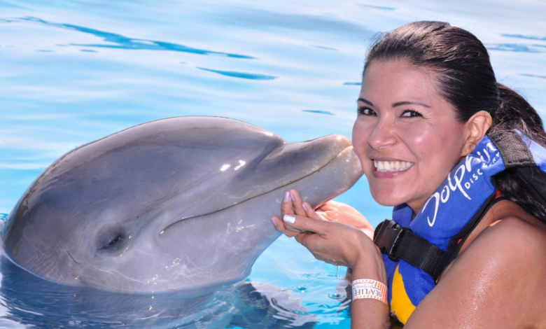 Dive into Adventure: Exploring the Magic of Aquaventuras Park